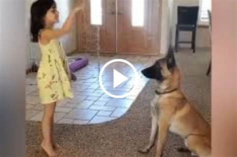 Impresionante perro se folla a una preciosa jovencita